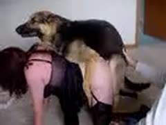 Kinky couple using dog as a canine dildo